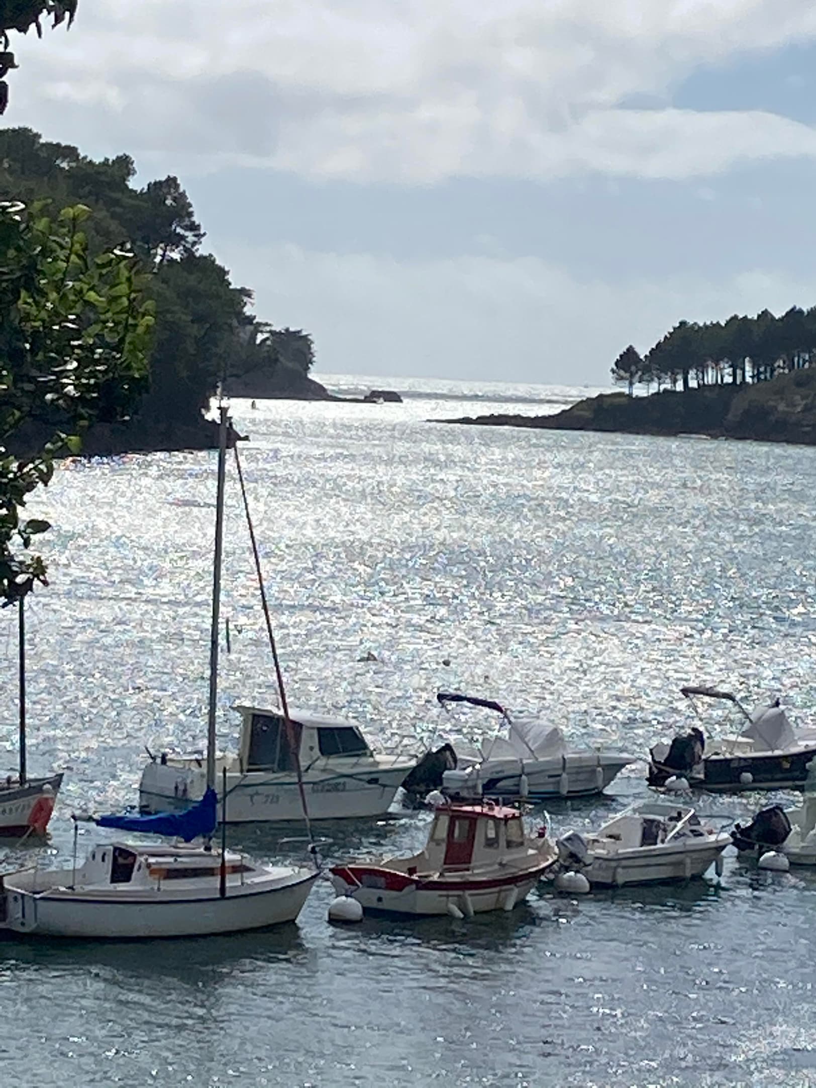 TosKa Tourisme, agence digitale